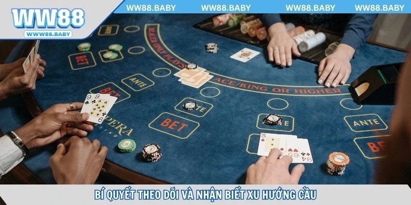 Bí quyết theo dõi và nhận biết xu hướng cầu