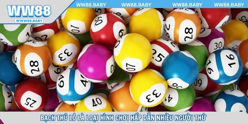 Lô bạch thủ là loại hình chơi hấp dẫn nhiều người thử 