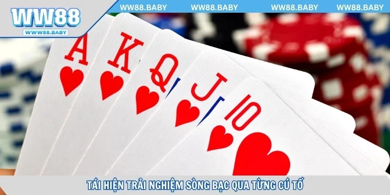 Tái hiện trải nghiệm sòng bạc qua từng cú tố