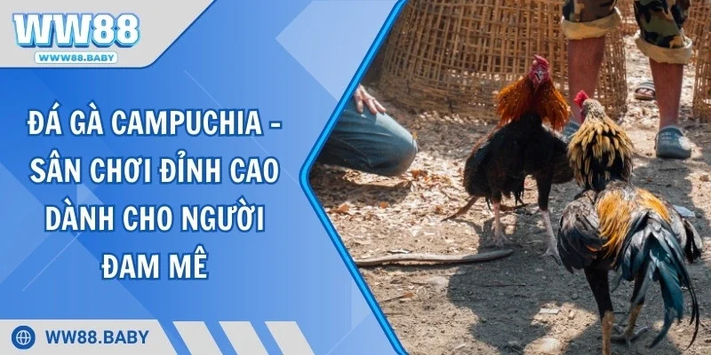 Đá gà Campuchia