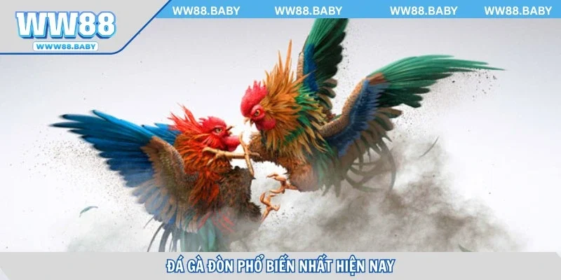 Đá gà đòn phổ biến nhất hiện nay tại nhà cái