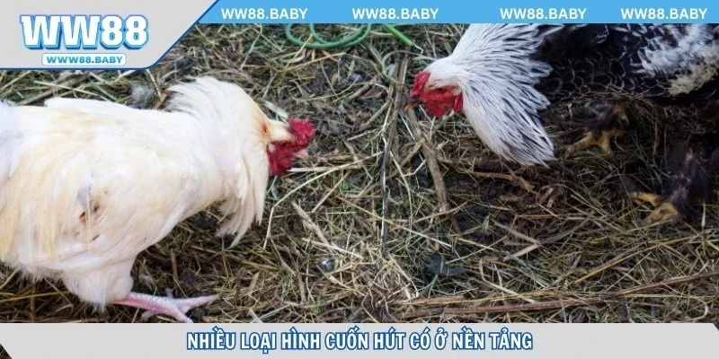 Nhiều loại hình cuốn hút có ở nền tảng