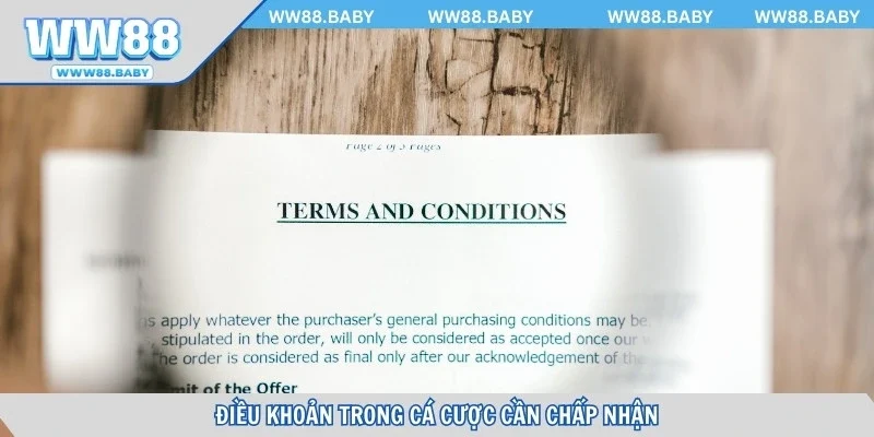 Điều khoản áp dụng trong quá trình tham gia cá cược