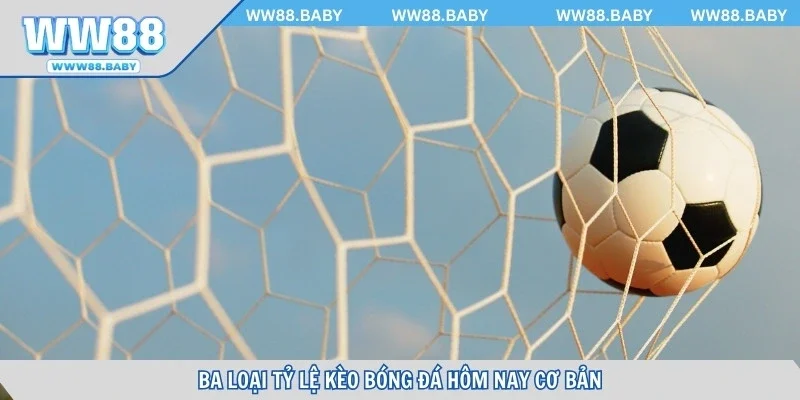 Ba loại tỷ lệ kèo bóng đá hôm nay cơ bản