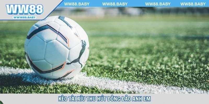 Kèo tài xỉu thu hút đông đảo anh em