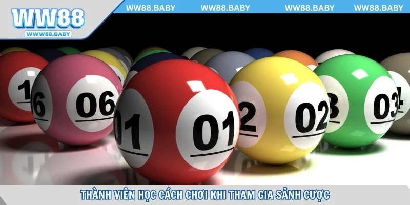 Thành viên học cách chơi khi tham gia sảnh cược