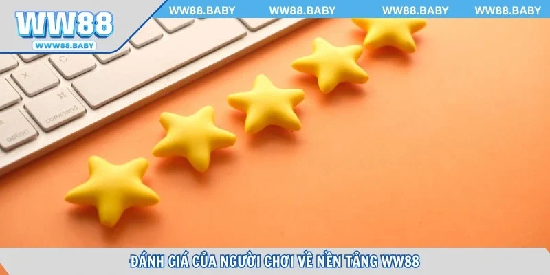 Đánh giá của người chơi về nền tảng cá cược