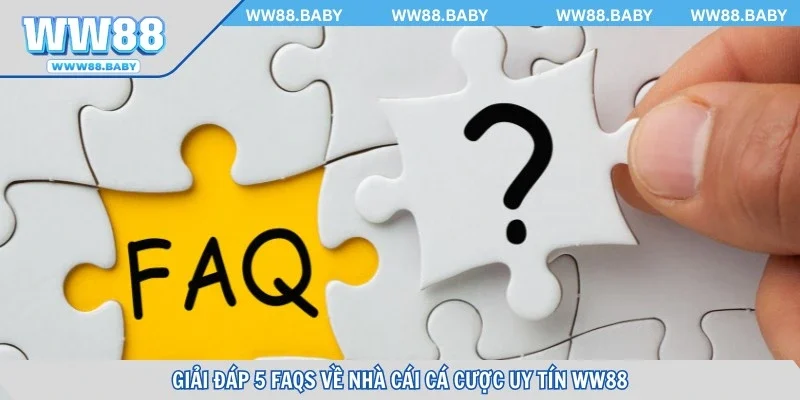 Giải đáp 5 FAQs về nhà cái cá cược uy tín